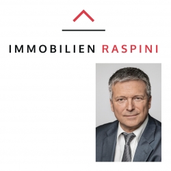 logo Immobilien Raspini